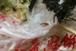 烧饼泡澡爆料视频在线观看,揭秘网红泡澡新潮流
