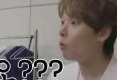 偶像爆料视频大全集,揭秘明星幕后真相